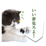猫アパ！みニャさまスタンプ2
