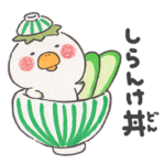 河童書房6〜ダジャレじゃ編〜