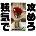 鬼卓球コーチぽん太です。