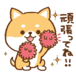 応援♥かわいいかまってチビ柴 その8