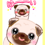 あいさつ♡パグちゃん