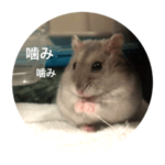 ハムスターのピコ＆プッチー