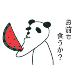 ✴️アゴパンダのコロナ君、夏✴️