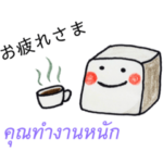 タイ語と日本語で会話できる❤️角砂糖さん!