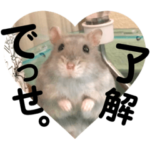 ☘⬛️播州弁 ハムスター②⬛️☘