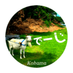 ●沖縄県離島・小浜島の景色にメッセージ●