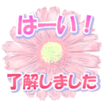 大人女子の 綺麗な毎日スタンプ