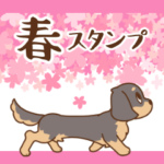 ダックス大好き季節・春◆黒タン