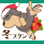 ダックス大好き季節・冬◆黒タン