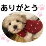 ベルちゃんスタンプ2022.02.