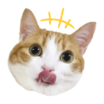 ラブこむぎちゃん