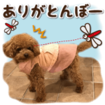 かわいい・わんこ⑧おもしろコメント