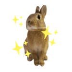 うさぎのまるくん