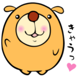 ポコですけど。