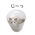 ひれ伏せ！ぐう太郎スタンプ