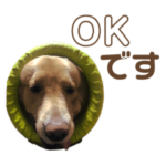 かわぐち太郎スタンプ②