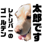 かわぐち太郎スタンプ①