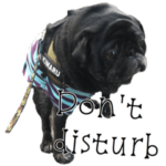 We love りきたん 2 – 英語編 –