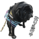 We love りきたん 2