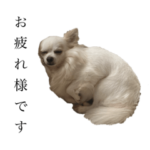 バイトのLINEで使えるわんころスタンプ