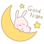 おもちうさぎの基本セット