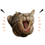 ねこのきもち×みんなでスタンプvol.1