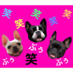 ブヒブヒなかま5