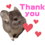 おもちちゃん♡