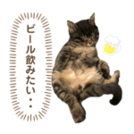 猫スタンプ おもちくん らむねちゃん