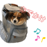 パピヨン星から来たおもちちゃん2