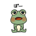 日常的に使いやすいカエル