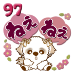 シーズー犬 97『ちょっと女の子っぽいの』