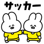 サッカーうさぎ