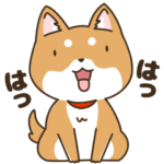 せわしないわんこ