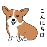 コーギー犬はなちゃん ☆くせ強＆日常