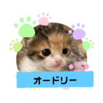 オードリースタンプ