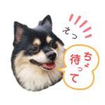 たらちゃんと仲間たち