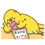 ハルちゃとぷぃしゃ