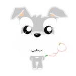 ふんわり癒されシュナウザー