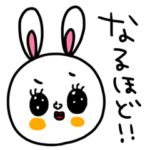 癒してうさぎ