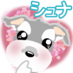 ふんわり　癒され　シュナウザー　6