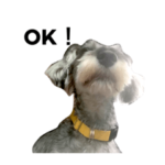 ヌーピーとアンディ