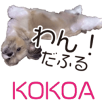 わん！だふる心愛