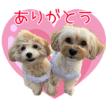 師匠と弟子のおもしろスタンプ