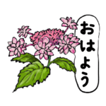 かわいいお庭の花