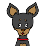 ミニチュア・ピンシャー