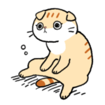 スコティッシュフォールド