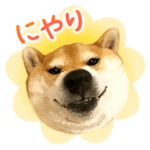 いぬ・ねこのきもち 犬猫写真風スタンプ