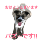 パズーのきもち