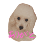 犬の気持ち・ひとこと